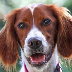 Meet your Posher, Deliena